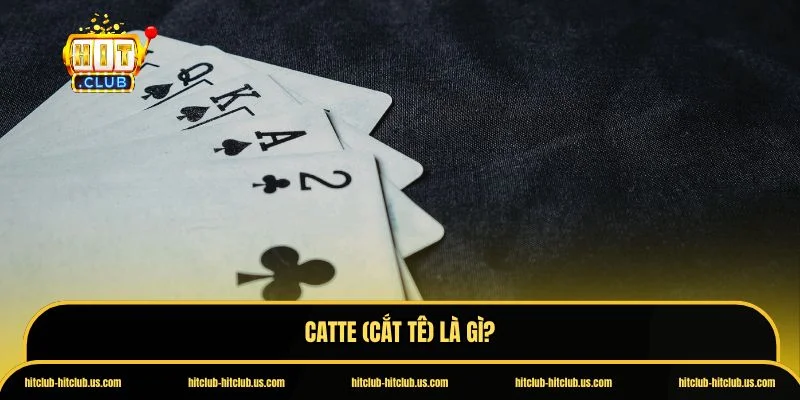 Catte (Cắt tê)