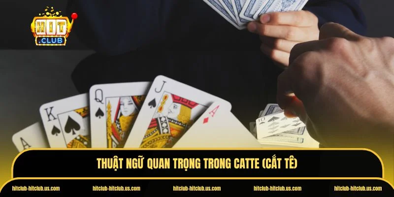 Catte (Cắt tê)