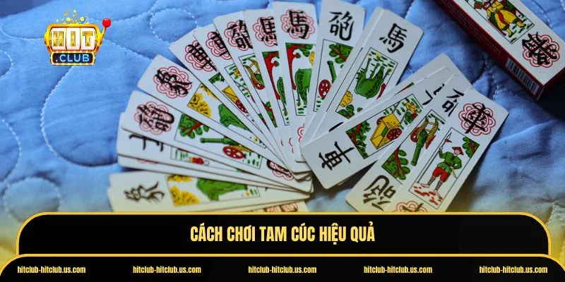 Tam cúc